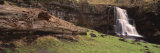 Bare Tree Lying on Grass, East Gill Falls, Ingleton, North Yorkshire, England, United Kingdom Photographic Print by Panoramic Images 