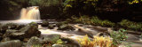 Stream Flowing Through Rocks, Thomason Foss, Goathland, North Yorkshire, England, United Kingdom Photographic Print by Panoramic Images 
