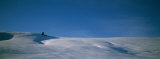 Pine Tree in a Snow Covered Landscape, Skalkaho, Montana, USA Lámina fotográfica por Panoramic Images Pine Tree in a Snow Covered Landscape, Skalkaho, Montana, USA Lámina fotográfica por Panoramic Images