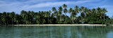 Palm Trees Along a Coast, Tahaa, French Polynesia Lámina fotográfica por Panoramic Images Palm Trees Along a Coast, Tahaa, French Polynesia Lámina fotográfica por Panoramic Images