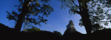 Low Angle View of a Temple, Tikal, Guatemala Photographie par Panoramic Images 