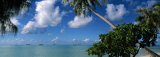 Palm Tree on the Beach, French Polynesia Photographie par Panoramic Images 