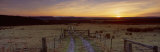 Tire Track on a Landscape, North York Moors, Yorkshire, England, United Kingdom Photographic Print by Panoramic Images 