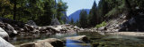 Mountain Behind Pine Trees, Tenaya Creek, Yosemite National Park, California, USA Photographic Print by Panoramic Images 