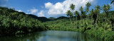 Trees Along a Lake, French Polynesia Photographie par Panoramic Images 