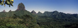 Trees on a Mountain Range, Moorea, French Polynesia Photographie par Panoramic Images 