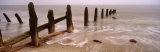 Posts on the Beach, Spurn, Yorkshire, England, United Kingdom Lámina fotográfica por Panoramic Images
