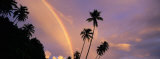 Rainbow Behind Palm Trees, French Polynesia Photographic Print by Panoramic Images 