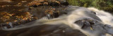 Autumn Leaves Floating on Water, England, United Kingdom Lámina fotográfica por Panoramic Images Autumn Leaves Floating on Water, England, United Kingdom Lámina fotográfica por Panoramic Images