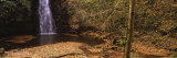 Waterfall in a Forest, Falling Foss, Whitby, England, United Kingdom Photographic Print by Panoramic Images 
