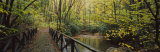 Footbridge Over a Pond in a Forest, Cucumber Run, Ohiopyle State Park, Pennsylvania, USA Fotografie-Druck von Panoramic Images 