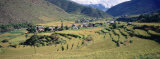 High Angle View of Terraced Rice Fields, Paro, Bhutan Photographic Print by Panoramic Images 