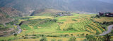High Angle View of a Countryside with Terrace Rice Fields, Punakha, Bhutan Lámina fotográfica por Panoramic Images High Angle View of a Countryside with Terrace Rice Fields, Punakha, Bhutan Lámina fotográfica por Panoramic Images