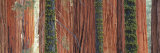 Giant Sequoia Trees in a Forest, Sequoia National Park, California, USA Photographic Print by Panoramic Images Giant Sequoia Trees in a Forest, Sequoia National Park, California, USA Photographic Print by Panoramic Images