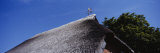 Low Angle View of a Thatched Roof, Isle of Ruegen, Germany Photographic Print by Panoramic Images 