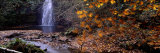 Water Falling into a Pool, Falling Foss, North York Moors, North Yorkshire, England, United Kingdom Photographic Print by Panoramic Images 