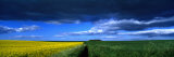 Clouds Over a Cultivated Field, Hunmanby, Yorkshire Wolds, England, United Kingdom Lámina fotográfica por Panoramic Images