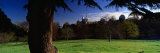 Trees in a Park, Royal Observatory, Greenwich, England, United Kingdom Photographic Print by Panoramic Images 