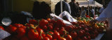 Tomatoes, Chicago Farmer's Market, Chicago, Illinois, USA Photographic Print by Panoramic Images 