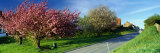 Road Passing Through a Village, Muston Village, North Yorkshire, England, United Kingdom Photographic Print by Panoramic Images 