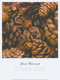 Cone Harvest Posters by Boyce Watt