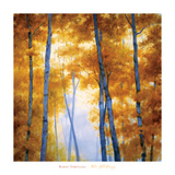 Blue Wood Canopy Prints by Robert Striffolino