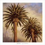 Fog over Canary Palms Prints by Rick Garcia
