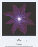 Clemátides Láminas por Jim Wehtje Clemátides Láminas por Jim Wehtje