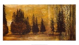 Forest Silhouettes I Prints by Linda Thompson