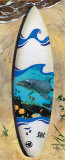 Dolphin Board Affiches par Scott Westmoreland