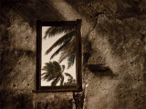 Palm View II Prints by C. J. Groth