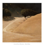 Sonoma Valley Backroad Posters av Marc Bohne