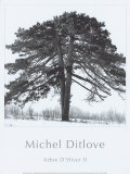 Arbres Divers II Prints by Michel Ditlove