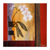 Orchid Lines I Poster von Don Li-Leger