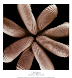 Convergence Prints by Michael Faragher