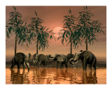 Jungle Scene of Elephants Photographic Print by John Junek