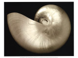 Ocean Keepsake I Prints by Charles Britt