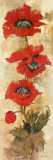 Strand of Poppies II Affiche par Elizabeth Jardine