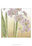 Sunset Garden IV Prints by Chariklia Zarris Sunset Garden IV Prints by Chariklia Zarris