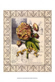 Garden for June II Art by Deborah Bookman