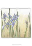 Sunset Garden III Posters by Chariklia Zarris