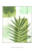 Leaf Impressions II Art Leaf Impressions II Art