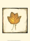 Fall Color IV Art by Alicia Ludwig
