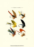 Bass Flies I Prints