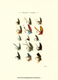 Trout Flies I Prints