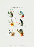 Lake Flies I Prints