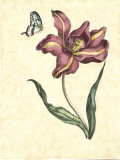 Floral Jubilee I Art Floral Jubilee I Art
