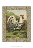Roosters III Posters by Cassell's Poultry Book 
