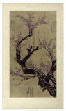 Plum Blossom Tree Posters