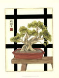 Zen Bonsai IV Arte por Jennifer Goldberger Zen Bonsai IV Arte por Jennifer Goldberger